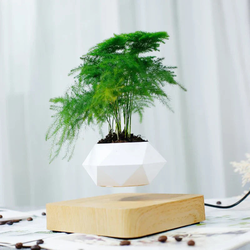 GlidePlant