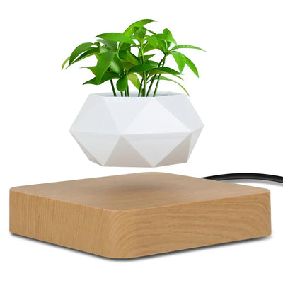 GlidePlant