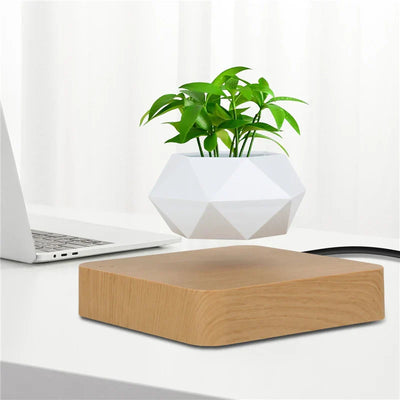 GlidePlant