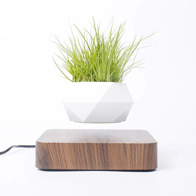 GlidePlant